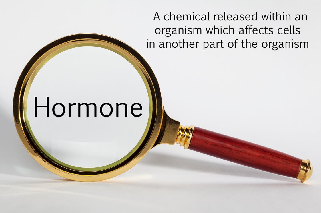 Hormone Concept