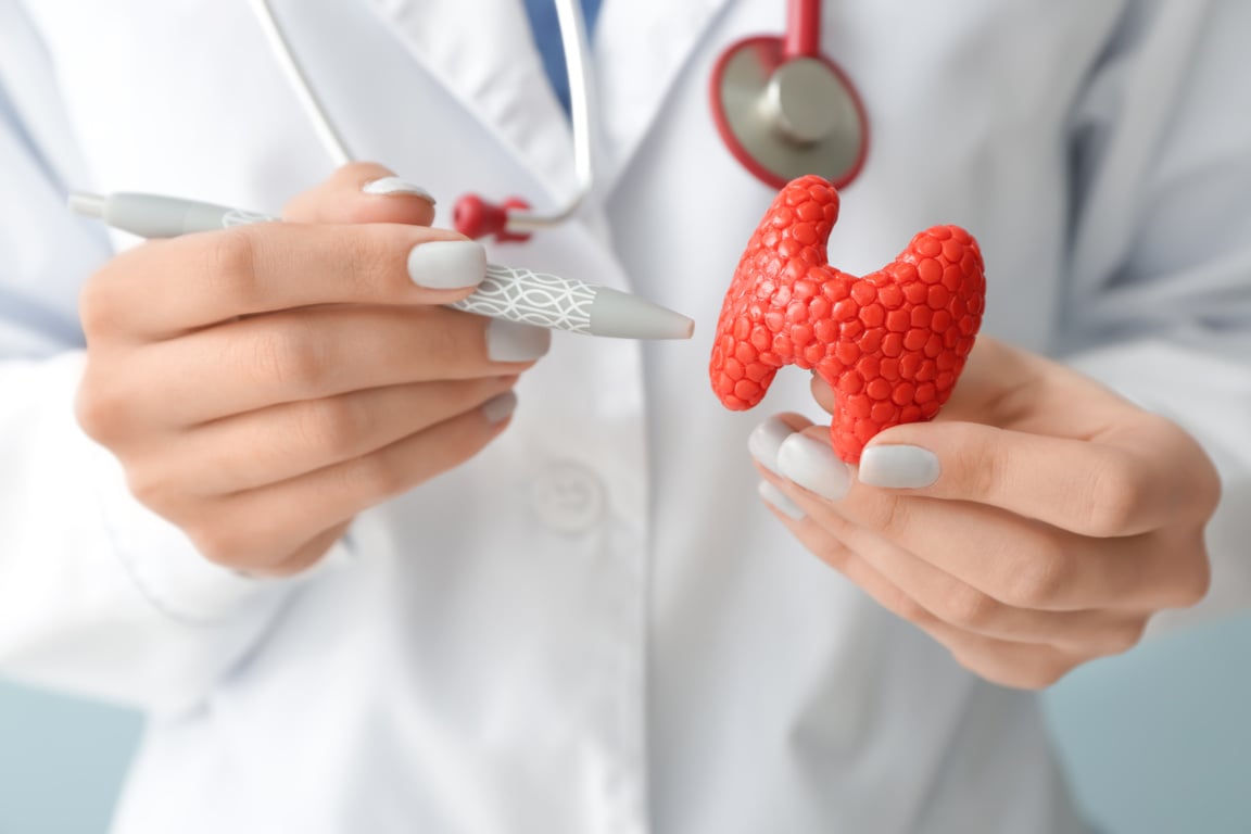 Doctor with Model of Thyroid Gland and Pen